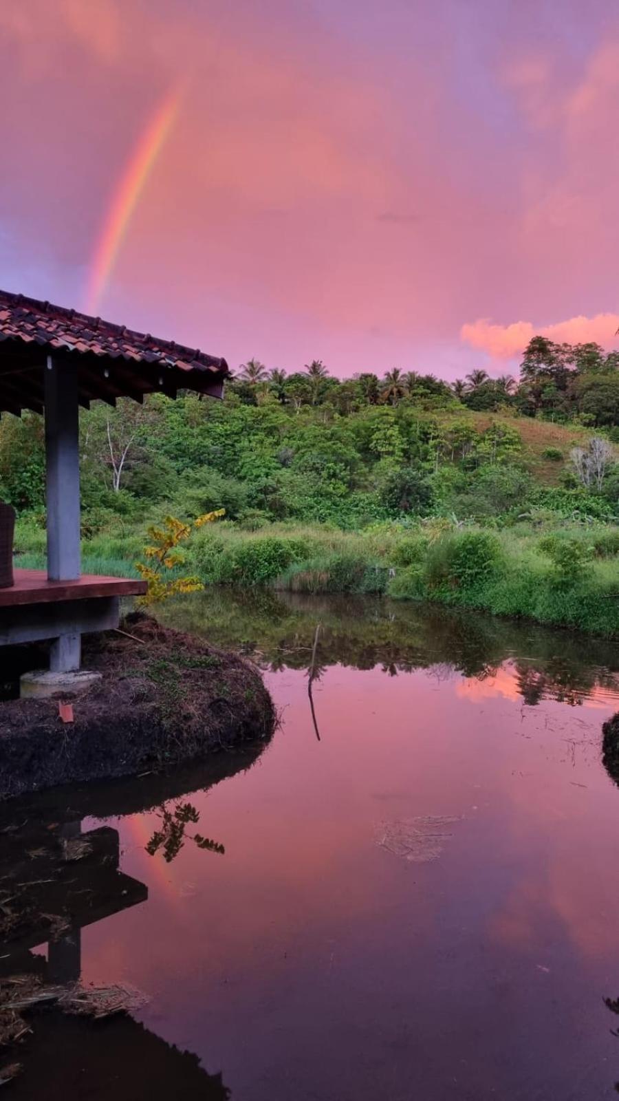 Laluna Eco Resort Pvt Ltd Beruwala Zewnętrze zdjęcie